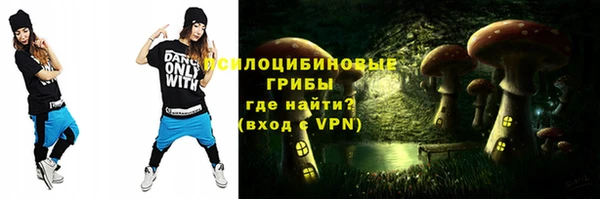 шишки Нягань