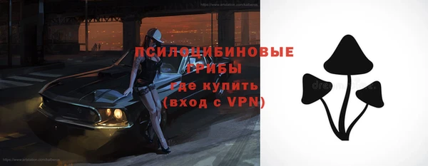 хмурый Нязепетровск