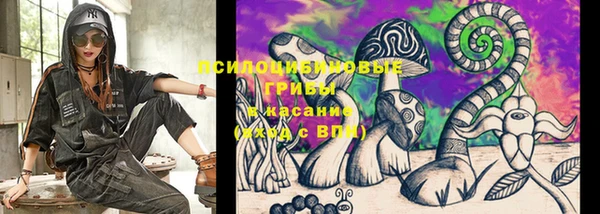 шишки Нягань