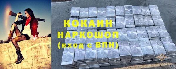 шишки Нягань
