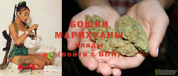 стафф Няндома