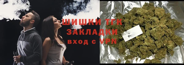 шишки Нягань