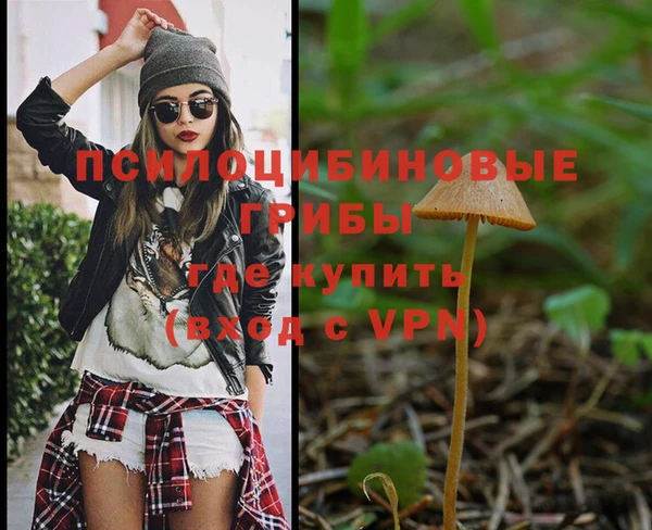 шишки Нягань