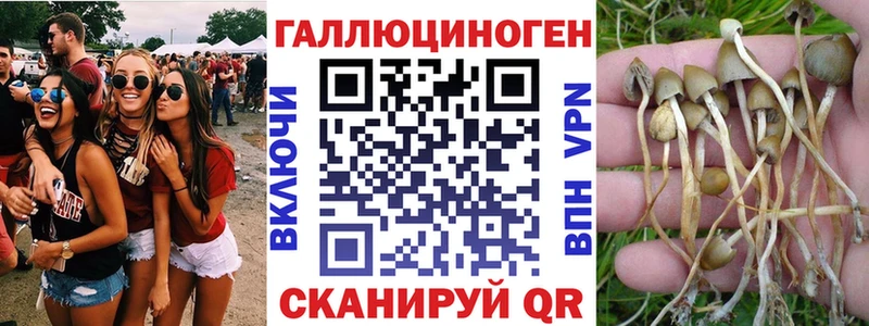Псилоцибиновые грибы мухоморы  ссылка на мегу ONION  Вольск  как найти наркотики 