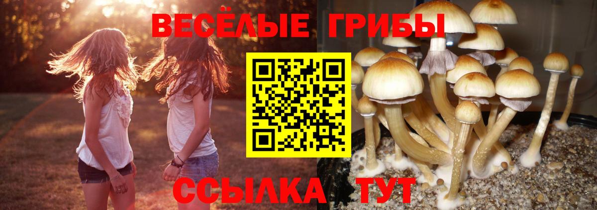Галлюциногенные грибы мухоморы Вольск