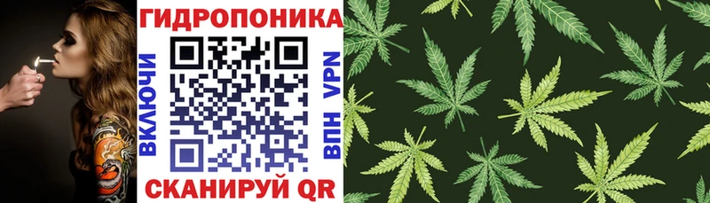 Канабис White Widow Вольск